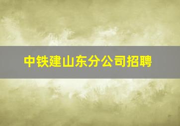 中铁建山东分公司招聘