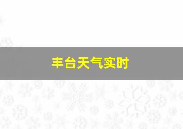 丰台天气实时