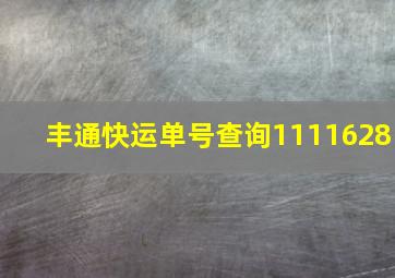 丰通快运单号查询1111628