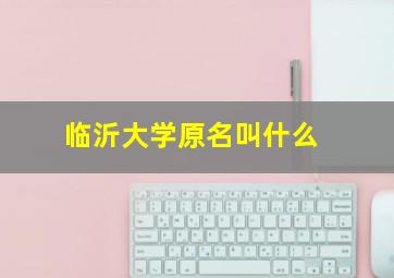 临沂大学原名叫什么