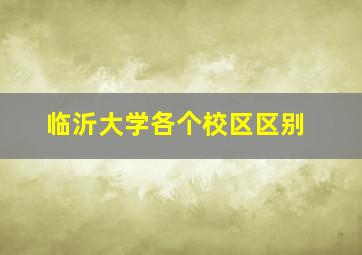 临沂大学各个校区区别