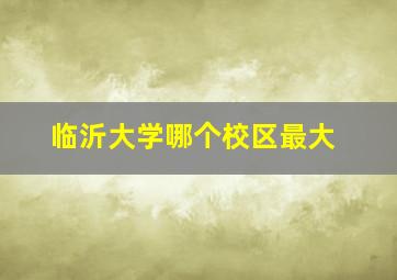 临沂大学哪个校区最大