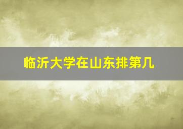 临沂大学在山东排第几