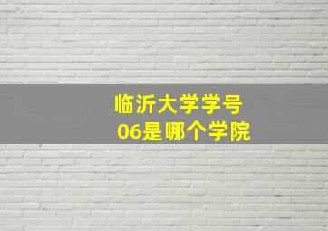 临沂大学学号06是哪个学院