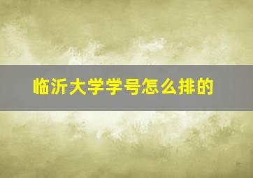 临沂大学学号怎么排的