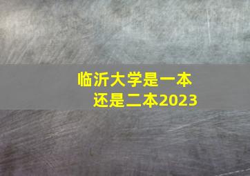 临沂大学是一本还是二本2023