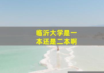 临沂大学是一本还是二本啊