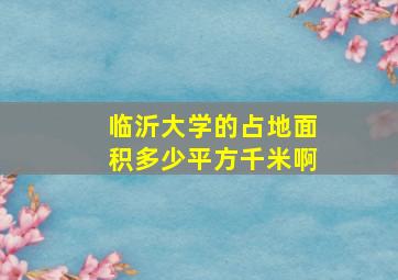 临沂大学的占地面积多少平方千米啊