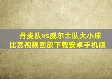 丹麦队vs威尔士队大小球比赛视频回放下载安卓手机版