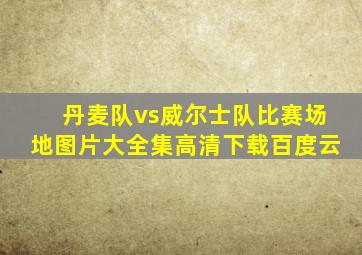 丹麦队vs威尔士队比赛场地图片大全集高清下载百度云