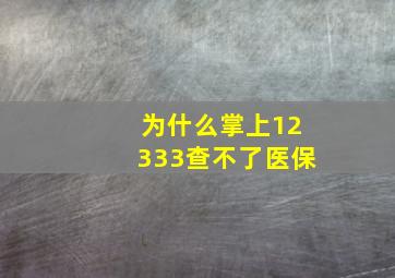 为什么掌上12333查不了医保