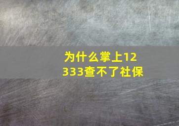 为什么掌上12333查不了社保