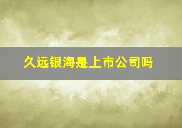 久远银海是上市公司吗