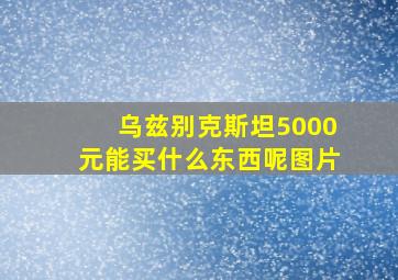 乌兹别克斯坦5000元能买什么东西呢图片