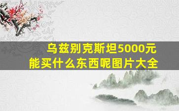 乌兹别克斯坦5000元能买什么东西呢图片大全