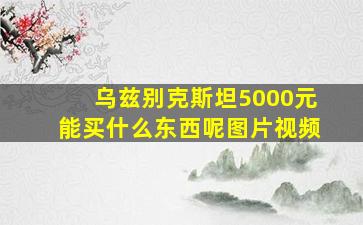 乌兹别克斯坦5000元能买什么东西呢图片视频