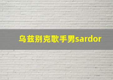 乌兹别克歌手男sardor