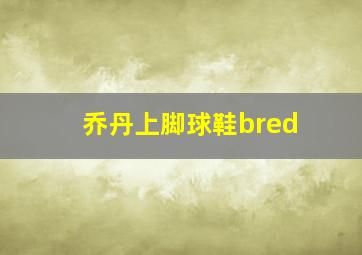 乔丹上脚球鞋bred