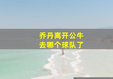 乔丹离开公牛去哪个球队了