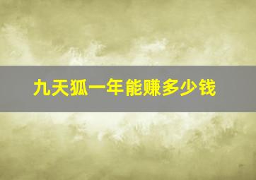 九天狐一年能赚多少钱