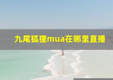 九尾狐狸mua在哪里直播