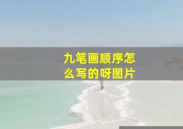 九笔画顺序怎么写的呀图片