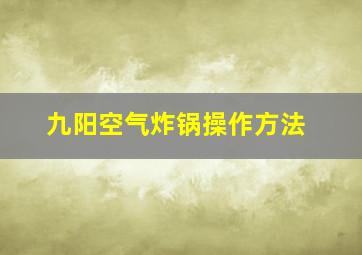 九阳空气炸锅操作方法