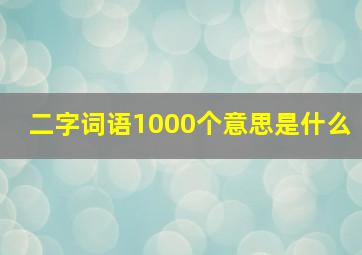 二字词语1000个意思是什么