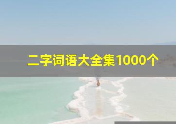 二字词语大全集1000个