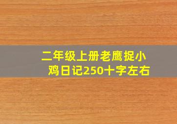 二年级上册老鹰捉小鸡日记250十字左右