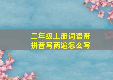 二年级上册词语带拼音写两遍怎么写