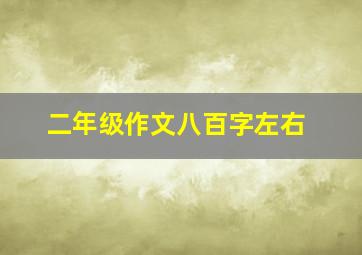 二年级作文八百字左右