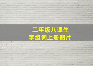 二年级八课生字组词上册图片