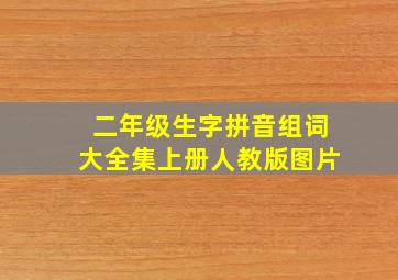 二年级生字拼音组词大全集上册人教版图片