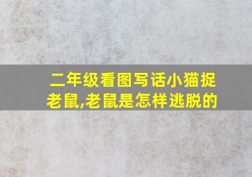 二年级看图写话小猫捉老鼠,老鼠是怎样逃脱的