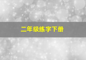 二年级练字下册