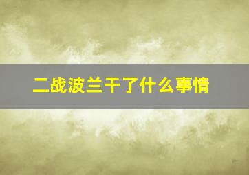 二战波兰干了什么事情