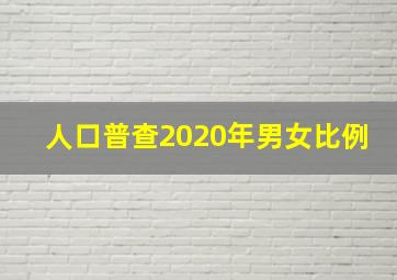 人口普查2020年男女比例