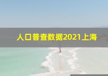 人口普查数据2021上海