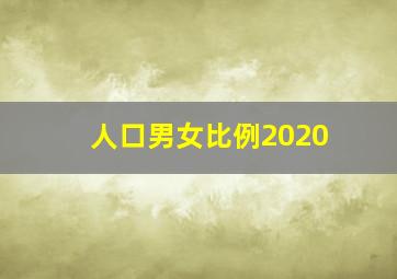 人口男女比例2020