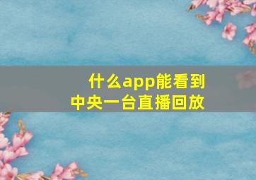 什么app能看到中央一台直播回放