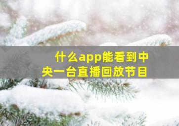 什么app能看到中央一台直播回放节目