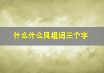 什么什么风组词三个字