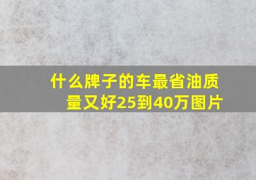 什么牌子的车最省油质量又好25到40万图片