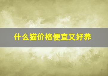 什么猫价格便宜又好养