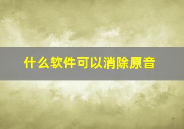 什么软件可以消除原音