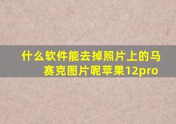 什么软件能去掉照片上的马赛克图片呢苹果12pro