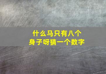 什么马只有八个身子呀猜一个数字