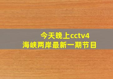 今天晚上cctv4海峡两岸最新一期节目