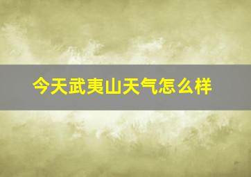 今天武夷山天气怎么样